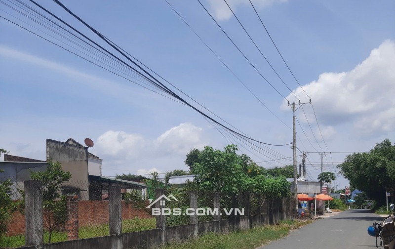 Bán đất mặt tiền huyện Đức Linh  Nguyễn Tri Phương có 100m2 ODT